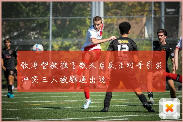 张淳智被推飞数米后反击对手引发冲突三人被驱逐出场